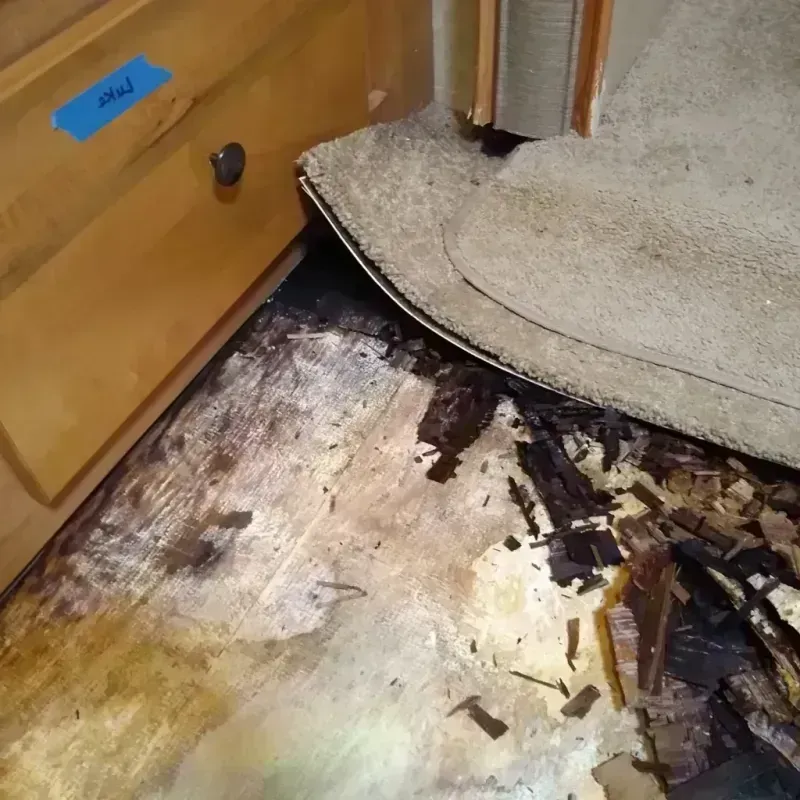 Wood Floor Water Damage in Saint Joseph, MI